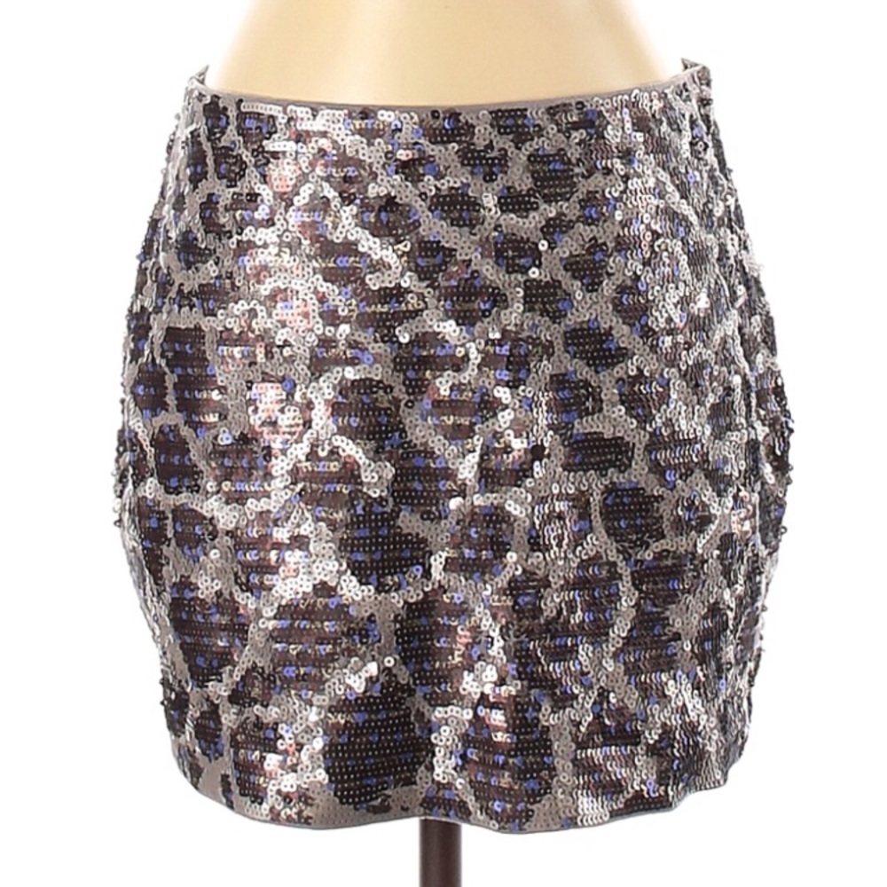 Express skirt